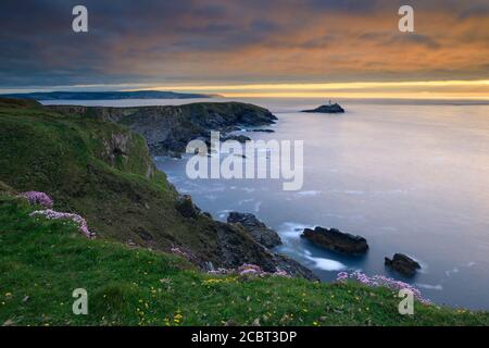 Frühlingsblumen auf der Klippe nahe Navax Point an der Nordküste von Cornwall mit Godrevy Lighthouse in der Ferne. Stockfoto