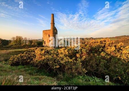 Das untere der beiden Wheal Unity Wood Engine Houses bei Wheal Bush in Cornwall wurde kurz nach Sonnenaufgang mit Gorse im Vordergrund eingefangen. Stockfoto