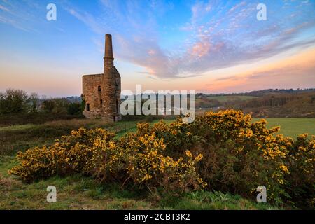 Das untere der beiden Wheal Unity Wood Engine Houses bei Wheal Bush in Cornwall wurde bei Sonnenaufgang mit Gorse im Vordergrund aufgenommen. Stockfoto