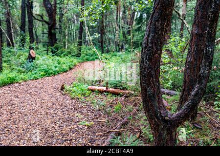 Das schöne Naturschutzgebiet Wilhelmsdorf Pfrunger Ried in Oberschwaben In der Nähe von Ravensburg und Bodensee Stockfoto