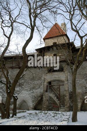 Einer von vielen kleinen Türmen, die sich entlang der Festungen von Tallinn in Estland befinden. Diese alten Türme bilden einen Teil der Stadtmauer. Stockfoto