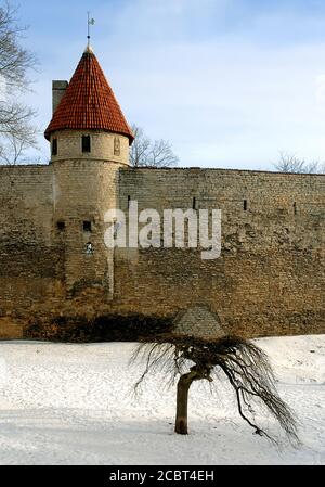 Einer von vielen kleinen Türmen, die sich entlang der Festungen von Tallinn in Estland befinden. Diese alten Türme bilden einen Teil der Stadtmauer. Stockfoto