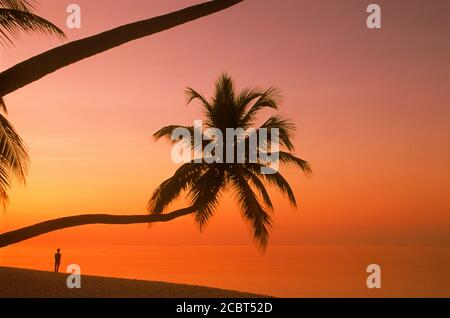 Frau, die auf der Insel Fihalhohi auf den Malediven am Sandstrand steht Bei Sonnenaufgang umgeben vom Indischen Ozean Stockfoto