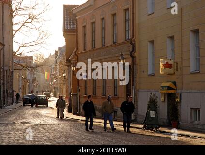 Tallinn, Estland: Eine gepflasterte Straße in der Altstadt von Tallinn im Winter. Die Menschen gehen in dicken Mänteln die Straße entlang. Die niedrige Sonne wirft lange Schatten. Stockfoto