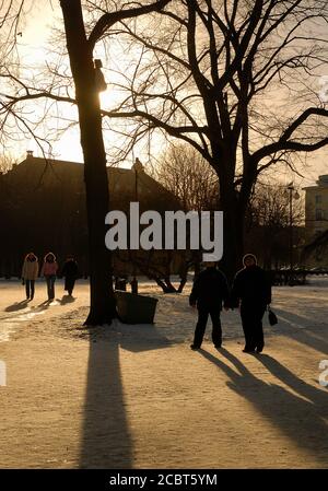 Menschen zu Fuß im Tammsaare Park in Tallinn, Estland. Die niedrige Sonne wirft lange Schatten. Tammsaare Park mit Schnee im Winter. Stockfoto