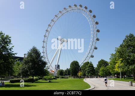 London Eye (Millennium Wheel) von Jubilee Gardens, London Borough of Lambeth, Greater London, England, Vereinigtes Königreich Stockfoto