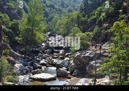 Gorges de la Spelunca im Süden Korsikas Stockfoto