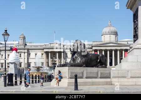 Löwenstatuen am Fuß von Nelson's Column, Trafalgar Square, City of Westminster, Greater London, England, Vereinigtes Königreich Stockfoto