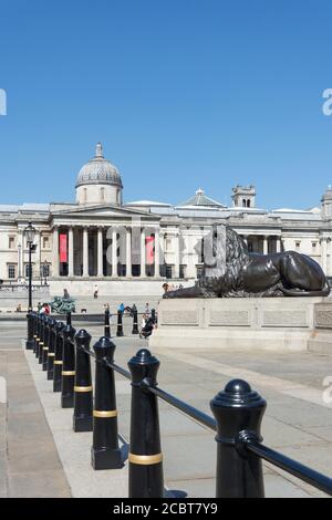 National Gallery and Lion Statue, Trafalgar Square, City of Westminster, Greater London, England, Vereinigtes Königreich Stockfoto