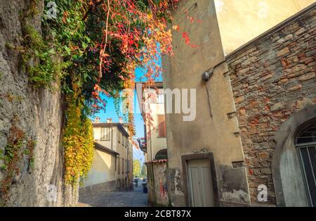 Typische schmale Straße entlang alter Mauern mit bunten Pflanzen in Bergamo an sonnigen Herbsttag. Lombardei, Italien Stockfoto