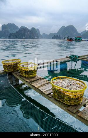 Fischkörbe im Fischerdorf, Ha Long Bay, Vietnam. Kalksteine und Boote sind sichtbar. Vertikale HDR-Aufnahme für den Alltag. Stockfoto