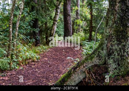 Das schöne Naturschutzgebiet Wilhelmsdorf Pfrunger Ried in Oberschwaben In der Nähe von Ravensburg und Bodensee Stockfoto