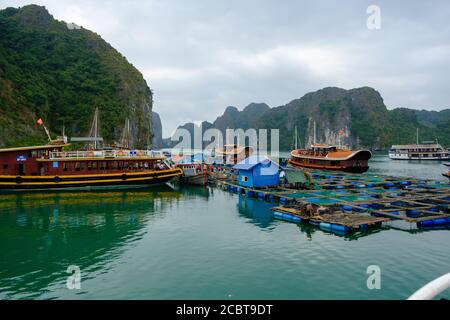 Ha Long Bay Vietnam, Fischerdorf. Wolkiger Himmel, atemberaubende Natur, Häuser auf dem Wasser.die Menschen leben auf Booten und Wasserplattformen, die meisten von fis Stockfoto