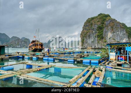 Ha Long Bay Vietnam, Fischerdorf. Wolkiger Himmel, atemberaubende Natur, Häuser auf dem Wasser.die Menschen leben auf Booten und Wasserplattformen, die meisten von fis Stockfoto