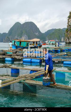 Ha Long Bay Vietnam, Fischerdorf. Wolkiger Himmel, atemberaubende Natur, Häuser auf dem Wasser.die Menschen leben auf Booten und Wasserplattformen, die meisten von fis Stockfoto