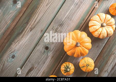 Herbst Kürbis Danksagung Hintergrund Stockfoto