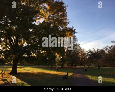 Das wunderschöne goldene Abendsonnen filtert durch die Äste von Ein großer Baum in Parklandschaft Stockfoto