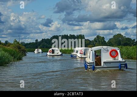 Motorcruiser auf dem Fluss Ant, Norfolk Broads National Park, Norfolk Stockfoto