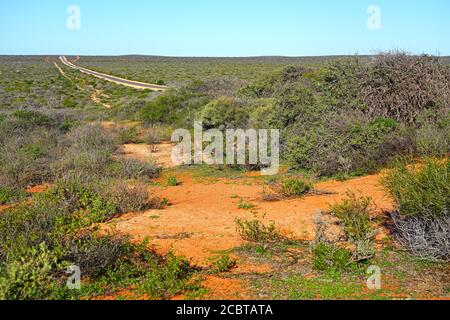Blick auf eine leere Straße mit rotem Boden in der Nähe von Shell Strand in Western Australia Stockfoto