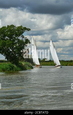 Segelboot im Fluss Bure, Norfolk Broads National Park, Norfolk, England Stockfoto