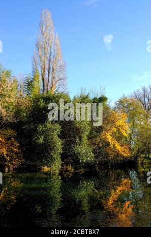 Berges de Meric, Flussufer Lez im Herbst in Montpellier. Bunte Bäume mit blauem Himmel Stockfoto