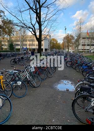 Fahrräder auf dem Campus der Universität Tilburg, Tilburg, Niederlande. Stockfoto