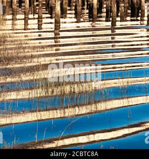 Weiße, reflektierende Wellen, die durch das Waschen eines vorbeifahrenden Gefäßes verursacht werden In Steveston British Columbia Stockfoto