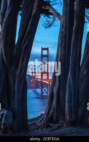 Die Golden Gate Bridge, gesehen durch die Zypressen, San Francisco, Kalifornien, USA, bei Einbruch der Dunkelheit. Stockfoto