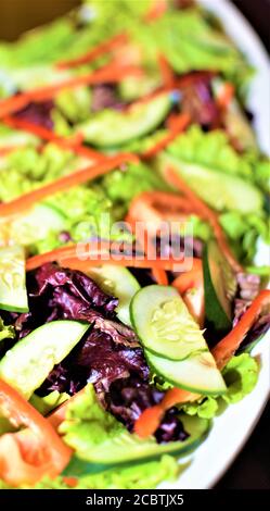 Ein Teller Salat aus frischem Blattgemüse und Anderes Gemüse Stockfoto