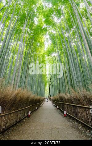 Am frühen Morgen Menschen, die durch hohe Baumgrenze Straße Arashiyama Bamboo Grove in Kyoto, Japan Stockfoto