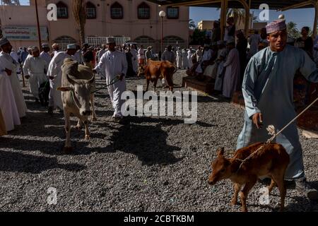 Omanische Männer verkaufen Rinder auf Nizwa Markt Stockfoto