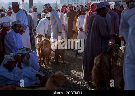 Nizwa Friday Märkte beschäftigt Ziegenauktion Stockfoto