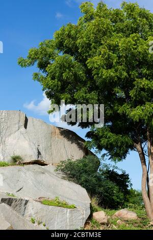 Felsen und Bäume und Himmel Stockfoto