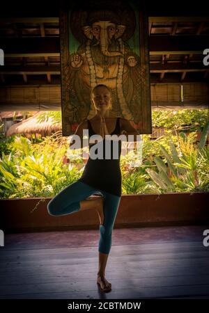 Frau tun, vrksasana - Baum Stockfoto