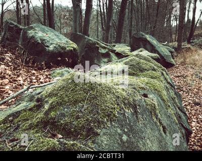 Riesige Felsen mit Moos bedeckt in den Wäldern Stockfoto