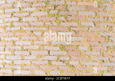 Nahaufnahme der Backsteinstraße, gepflasterter Bürgersteig. Hintergrundbild Stockfoto