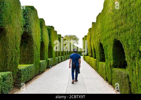 In den Gärten der Alhambra Stockfoto