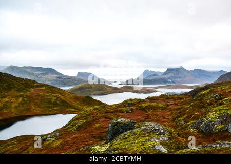 Wanderblick in Lofoten Stockfoto