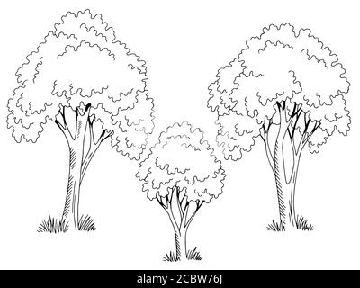 Baum Grafik Set schwarz weiß isoliert Skizze Illustration Vektor Stock Vektor