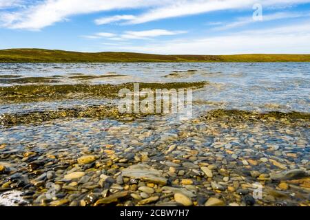 Glaslyn ein kleiner Hochlandsee in der Mitte von Wales Ein Naturschutzgebiet des Montgomeryshire Wildlife Trust Stockfoto