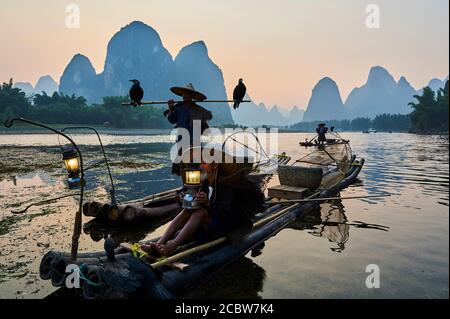 China, Provinz Guangxi, Guilin, Kormoran Fischer auf Li Fluss um Yangshuo Stockfoto