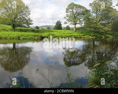 Blick auf Bäume im Fluss Hodder, einem Gebiet von außergewöhnlicher natürlicher Schönheit, in Whitewell im Lancashire Forest von Bowland. Stockfoto