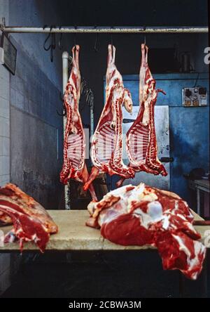 Frisches Fleisch hängt von einem Regal in einem kleinen familiengeführten Metzgerladen. Fotografiert in der Türkei Stockfoto