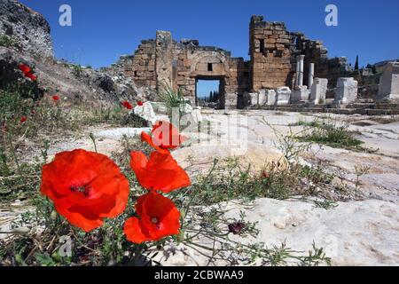 Durch die Risse in der Marmorstraße entlang der Frontinus-Straße in der antiken Stadt Hierapolis in Pamukkale in der Türkei wachsen Mohnblumen. Stockfoto