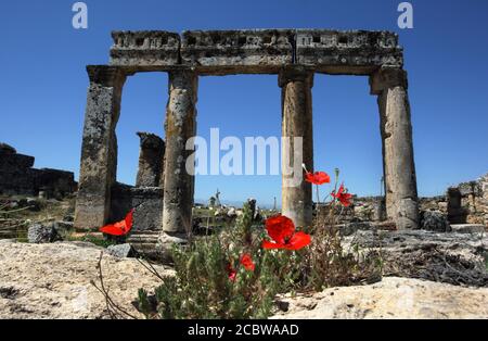 Ein Teil von Ruinen an der antiken Stätte Hierapolis in Pamukkale in der Türkei. Diese Säulenruinen blicken auf die Frontinus Street. Stockfoto