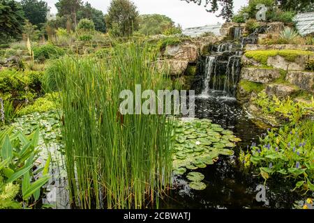 Kew Gardens 14-8-2020. Stockfoto