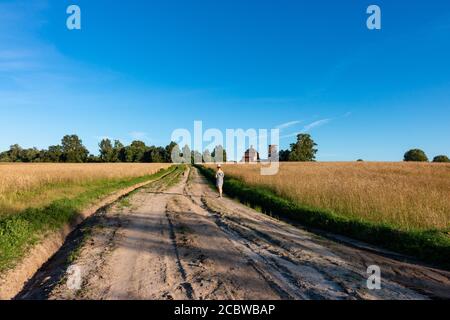 Mädchen geht auf einer Landstraße durch Weizenfeld Stockfoto