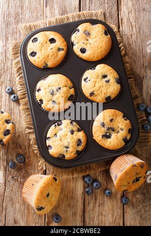 Leckere Muffins mit Heidelbeeren aus der Nähe in einer Backform auf dem Tisch. Vertikale Draufsicht von oben Stockfoto