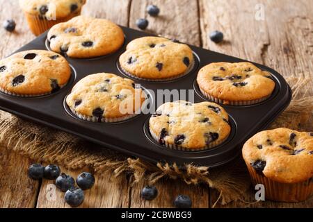 Gesunde Frühstücks-Muffins mit Blaubeeren aus der Nähe in einer Auflaufform auf dem Tisch. Horizontal Stockfoto