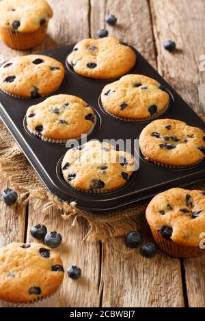 Leckere Muffins mit Heidelbeeren Nahaufnahme in einer Auflaufform auf dem Tisch. Vertikal Stockfoto